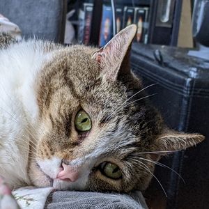 Meet your Posher, Kate